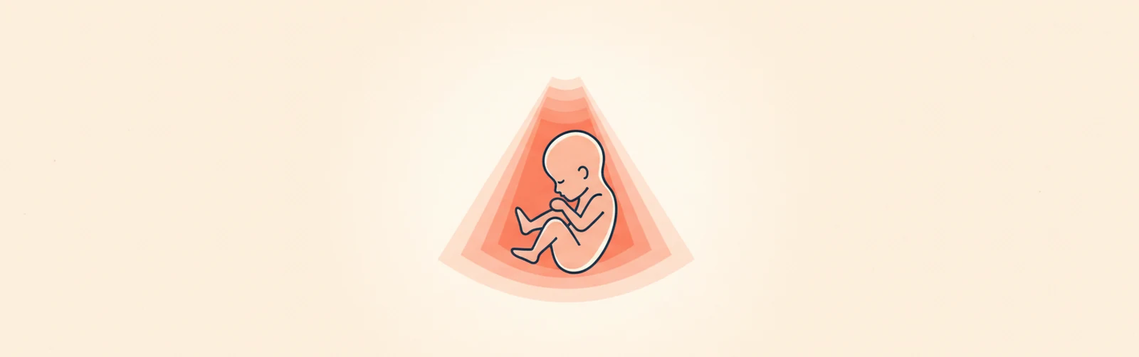 Week 12 of Pregnancy