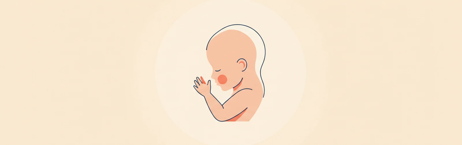 Week 14 of Pregnancy