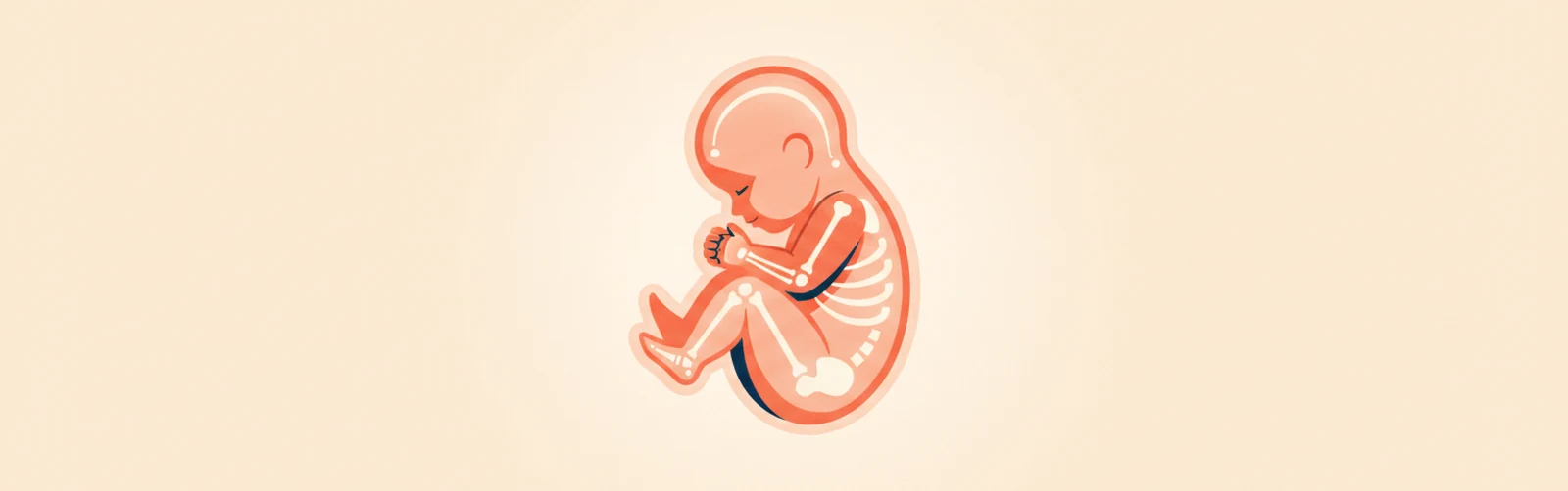Week 17 of Pregnancy