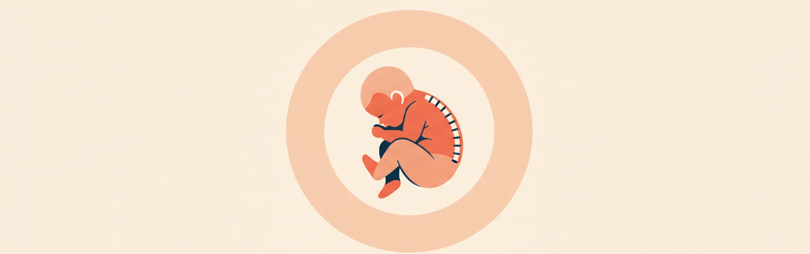 Week 19 of Pregnancy