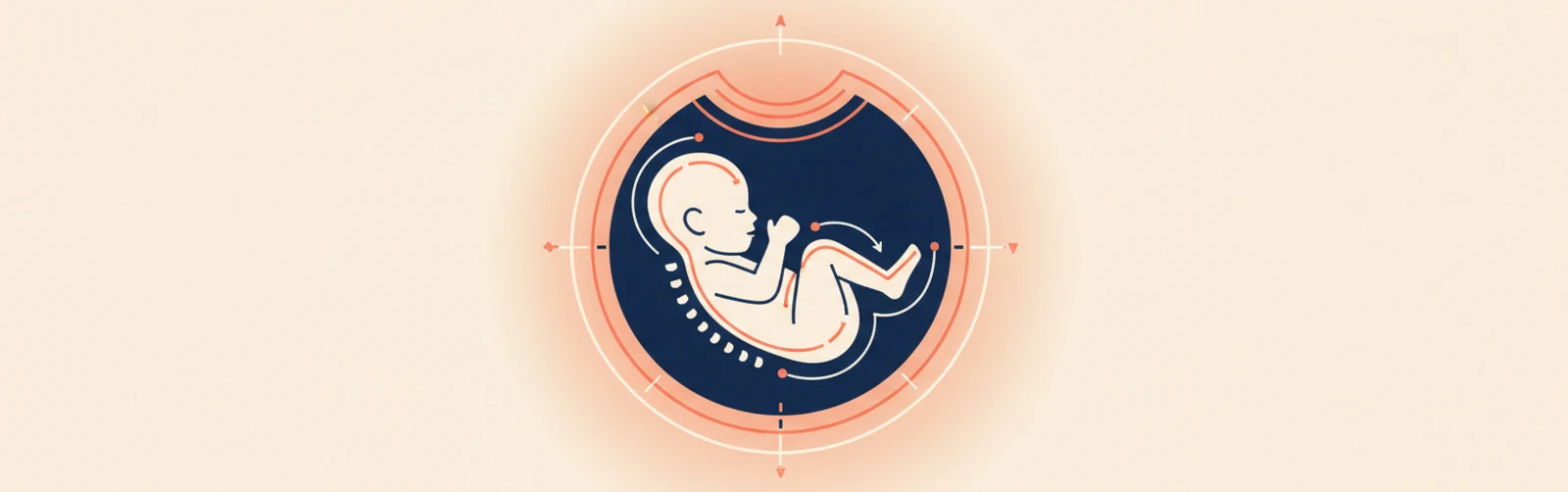 Week 20 of Pregnancy