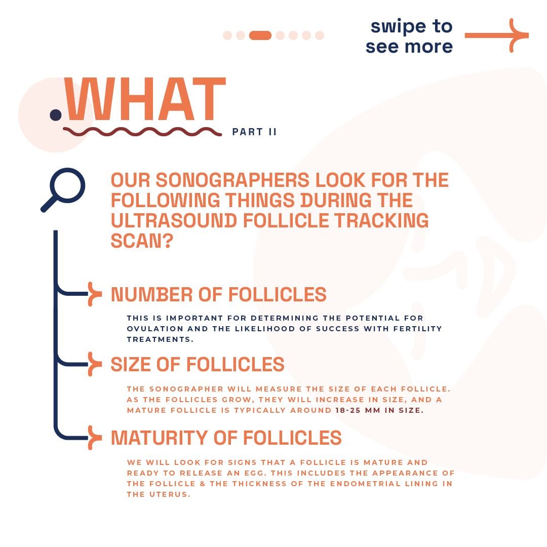 Detailed explanation by London Pregnancy Clinic of what sonographers look for during a follicle tracking ultrasound scan, including the number, size, and maturity of follicles.
