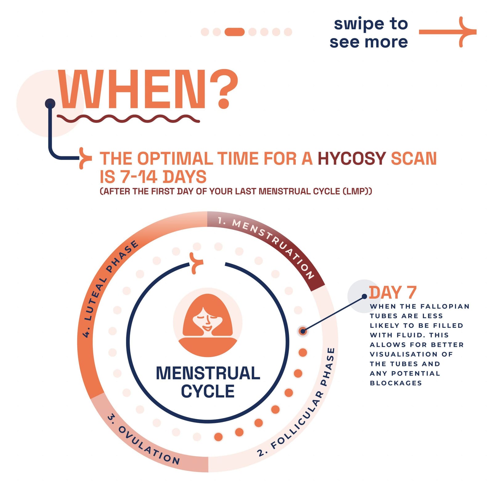 HyCoSy procedure — step 3