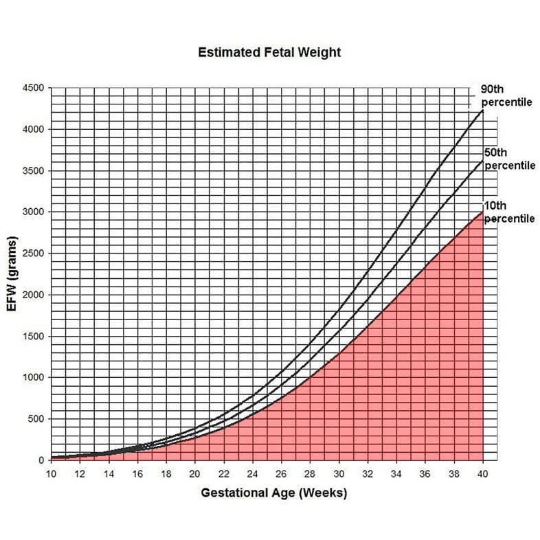 Graph showing normal fetal weight bounds throughout the pregnancy