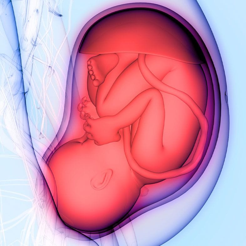 Scan containing important information before you finally meet your little one!
