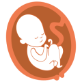 anatomy and wellbeing scan