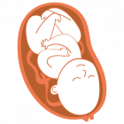 Presentation Scan — illustration
