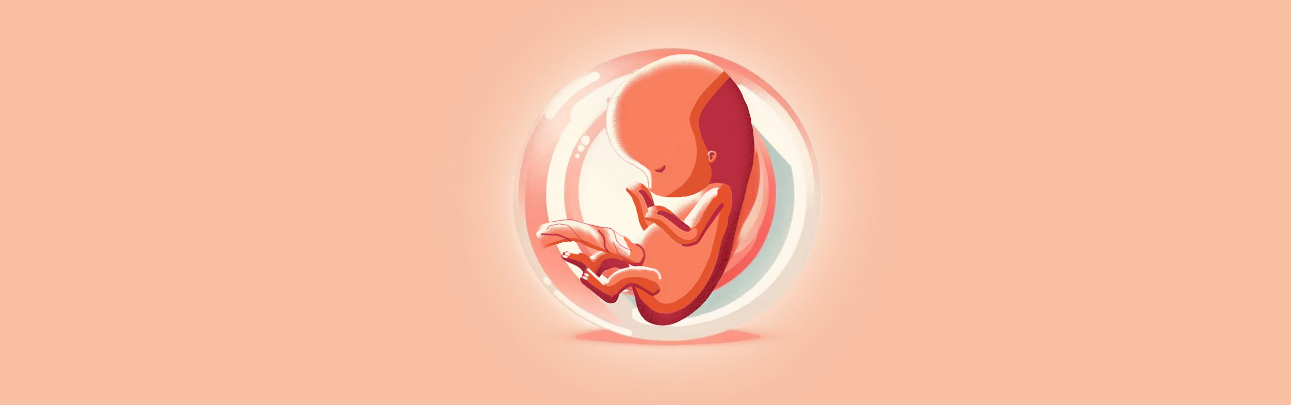 Early pregnancy scan London Pregnancy Clinic illustration of week 9. Week 9 of pregnancy fetus.