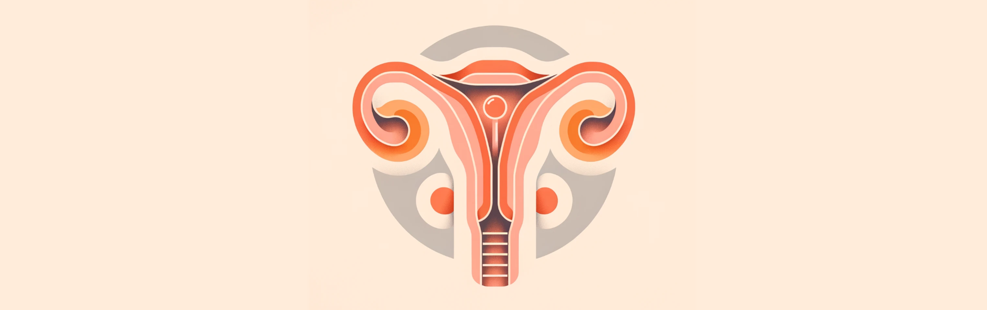 Graphic of Week 4 of pregnancy. An illustration of a zygote in the uterus.