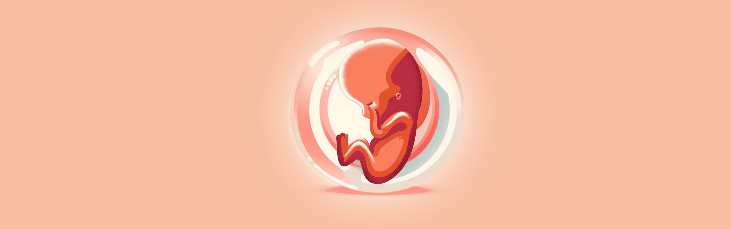 Graphic of Week 8 of pregnancy. An illustration of a baby at week 8 in the gestational sac.